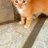 Gatty
